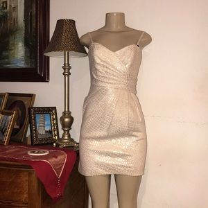 Laundry by shelli Segal size 2 NWOT